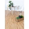 Каменно-полимерная плитка Alpine Floor Classic Light ECO 152-99 Бук