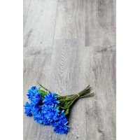 SPC ламинат Alpine Floor Classic ECO 134-5 Ясень Серый