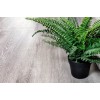 Каменно-полимерная плитка Alpine Floor Classic Light ECO 134-55 Ясень Серый