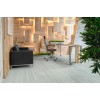 SPC ламинат Alpine Floor Grand Sequoia ECO 11-21 Инио