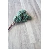Кварцвинил Alpine Floor Ultra Дуб Полярный ECO 5-19